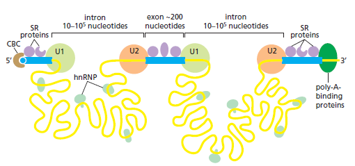 Figure 6-32.png